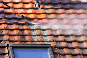 Palo Alto roofing cleaners