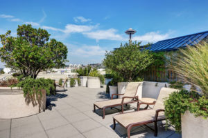 Pleasanton roofing designs roof top living options 